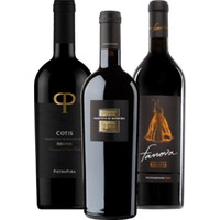 Exklusive Primitivo Bestseller von VINELLO - 3x Probierpaket