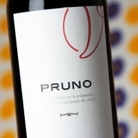 Finca Villacreces Pruno