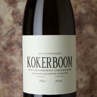 The Sadie Family Kokerboom