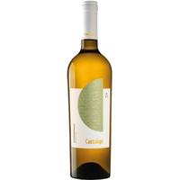Conti Zecca Cantalupi Salento IGP Chardonnay 0,75 ℓ