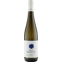 Riesling Kamptal DAC Ried Gaisberg Alte Reben - Weingut Helmut Maglock (AT)