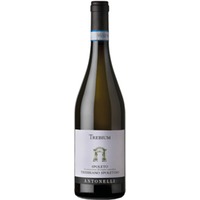Antonelli Trebium Spoleto DOC Trebbiano Spoletino 0,75 ℓ