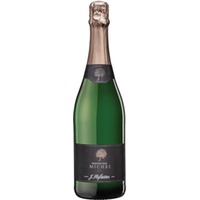 Hofstätter Michei 823 Trento DOC Brut Riserva 0,75 ℓ