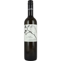 Riesling Ried Sonnleiten trocken Bio - Weingut Fleischhacker