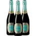 Seleccion Cava Brut DO by Villa Conchi - 3x Vorteilspaket 