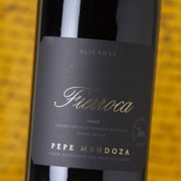 Pepe Mendoza Fierroca