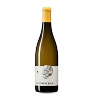 El Hombre Bala Albillo