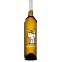 Agustí Torelló Mata Xic