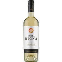 Santa Digna Reserva Sauvignon Blanc - Miguel Torres Chile