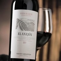 El Anejón