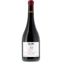 Entalkoholisierter Wein - Pinot Noir Vigneron - Divin