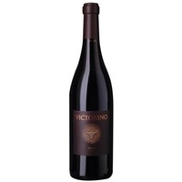 Bodegas Teso la Monja Victorino Toro DO - - Duero-Tal (Castilla y Leon), Spanien