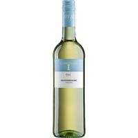 Ruppertsberger Weinkeller Sauvignon Blanc, Pfalz, Trocken, Pfalz, 2024, Weißwein