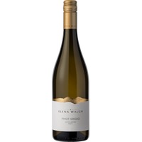 Pinot Grigio - Weinkellerei Elena Walch