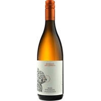 Grauburgunder Steinkogl