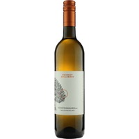 Welschriesling Südsteiermark DAC