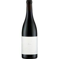 Preisinger Zweigelt Kieselstein Bio, Trocken, Burgenland, Burgenland, 2023, Rotwein