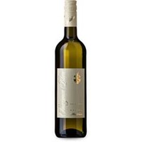 Sauvignon Blanc trocken