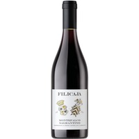 Villa da Filicaja Montefalco Sagrantino DOCG 0,75 ℓ