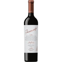 Malbec Pasionado Tupungato Mendoza - Andeluna