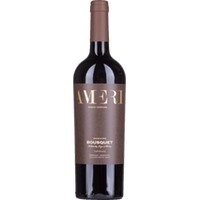 Ameri Single Vineyard Tupungato Bio - Domaine Bousquet