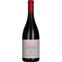 Simone Capecci Picus Piceno Superiore DOP - - Marche, Italien