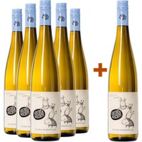 5+1 Gelber Muskateller BIO Paket BIO - Weingut Gruber Röschitz
