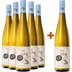 5+1 Gelber Muskateller BIO Paket BIO - Weingut Gruber Röschitz 