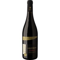 Selynus Syrah Terre Siciliane IGP - CANTINE URSO SRL