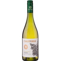 Chardonnay Reserva D.O. 2024 Caliterra