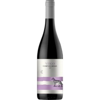 Virgo Campania Rosso Igp