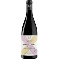 Frontonio Telescopico Tinto Valdejalón IGP - - Oberer Ebro, Spanien