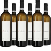 Gamlitzer Sauvignon Blanc Südsteiermark QbA trocken (At-BIO-402)