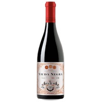 Viuda Negra Arca de Asa