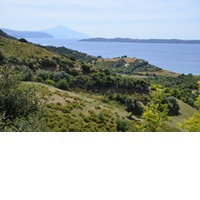 Griechisches Olivenöl extra nativ XXX 1000 ml