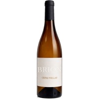 Brion Cepas Vellas Godello