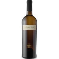 Bianco di Puglia IGP Silentium - - Kampanien, Italien
