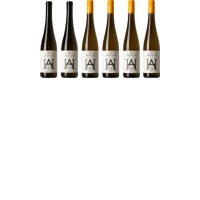 Vertikalverkostung Riesling Zöbinger Heiligenstein Kamptal DAC / 6 verschiedene Jahrgänge