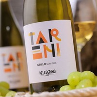 Grillo Sicilia Tareni