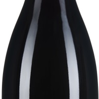 Pinot Noir P