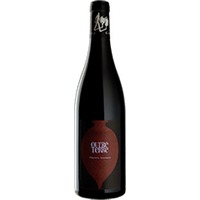 Thierry Germain - Domaine des Roches Neuves : Outre Terre