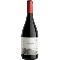 '45 Rugientes' Pinot Noir - BIO