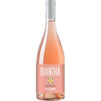 Diantha Rose Terre Siciliane IGT