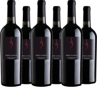 Tardus Nero d´Avola Appassimento IGT