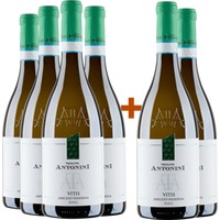 4+2 Paket Vitis Passerina d'Abruzzo DOC - Tenuta Antonini Alessio