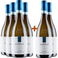 4+2 Paket Lutum Trebbiano d'Abruzzo DOC - Tenuta Antonini Alessio