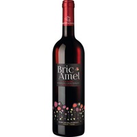 Bric Amel Langhe Nebbiolo, Langhe DOC, Piemont, 2024, Rotwein