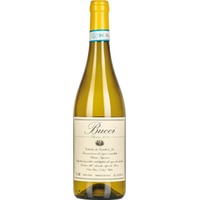 Villa Bucci Verdicchio dei Castelli di Jesi DOC - - Marche, Italien