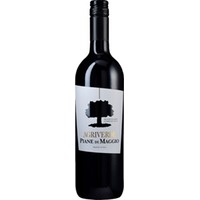 Piane di Maggio Montepulciano, Montepulciano d'Abruzzo DOC, Abruzzen, 2024, Rotwein