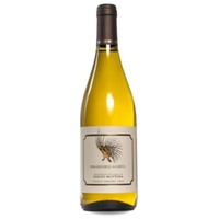 Sergio Mottura Poggio della Costa